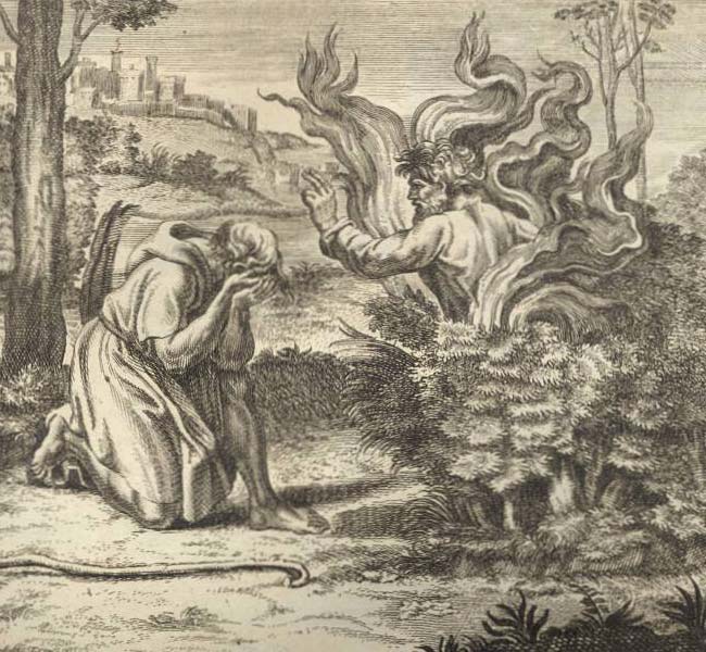 Exodus Images - The Burning Bush #1