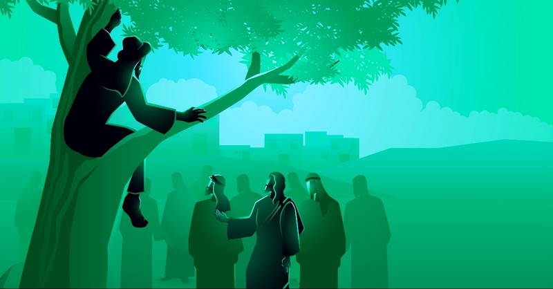 Zacchaeus 